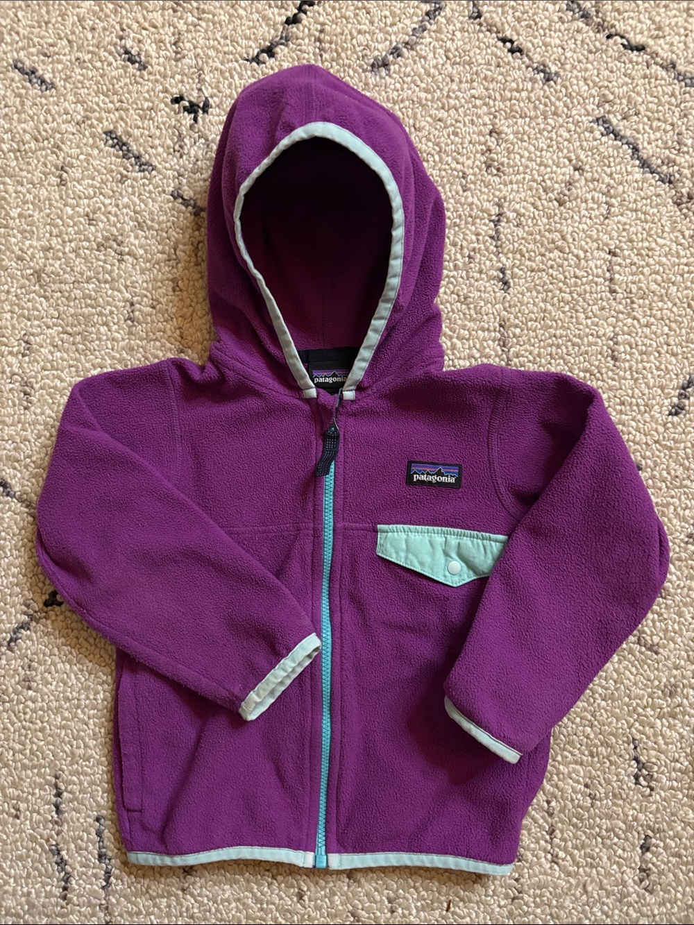 Patagonia  Fleece Jacket (2T)